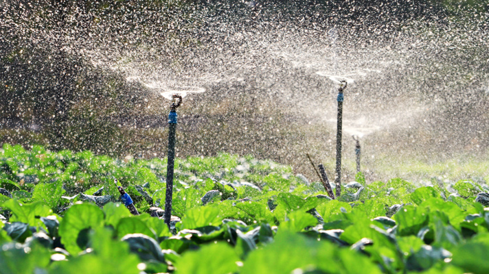 Better planning of a water irrigation system in Čakovec, Croatia