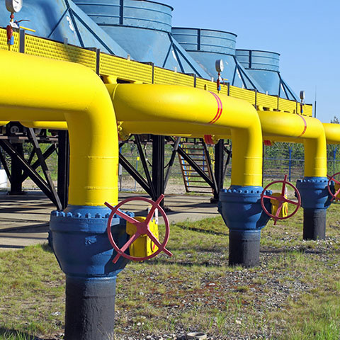 Natural gas and Liquefied petroleum gas (LPG)