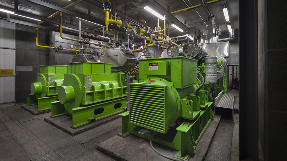 Renewable energy sources and high-efficiency cogeneration